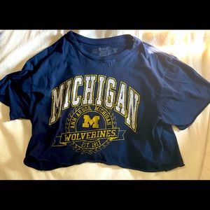 Original Retro Brand Michigan Cropped Tee